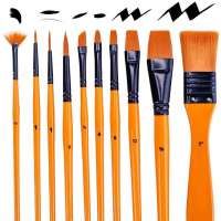 Art Paint Brushes Set for Painting, 10 Variety of Brushes Types- Nice Art Brushes for Acrylic Painting